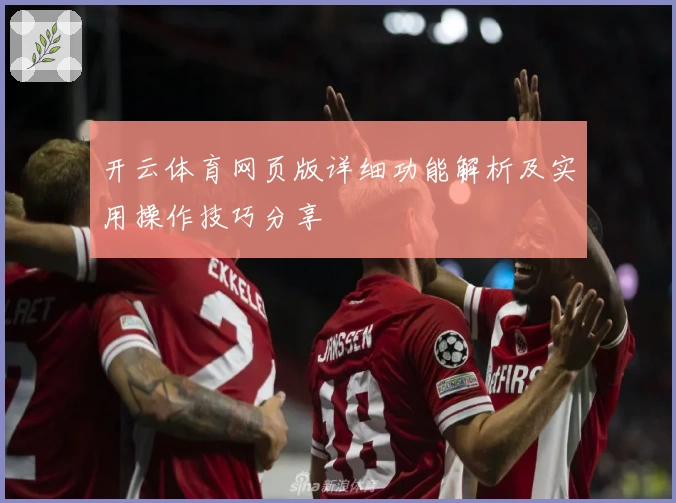 开云体育网页版详细功能解析及实用操作技巧分享